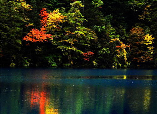 五彩藏區(qū) 四川網(wǎng)絡(luò)廣播電視臺