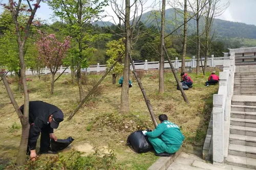 推行景區(qū)環(huán)境精細(xì)化管理標(biāo)準(zhǔn)成效初顯 武陵山大裂谷為自己打call