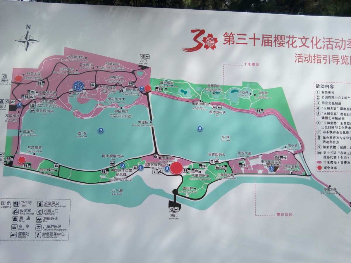 玉淵潭公園游覽櫻花景點及線路