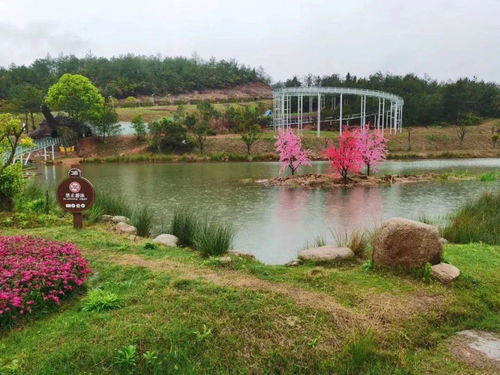 龜峰景區 五一 假期游覽須知