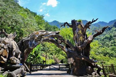 魔鬼秋千爆紅全網 浙旅集團深度體驗旅游產品成效凸顯，景區管理再升級
