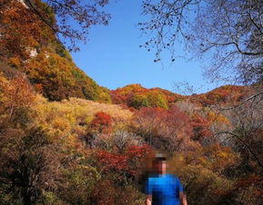 2019平山駝梁風景區游玩全攻略 門票價格、游覽路線、地址與服務詳解